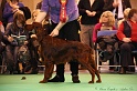 Crufts2011_2 163